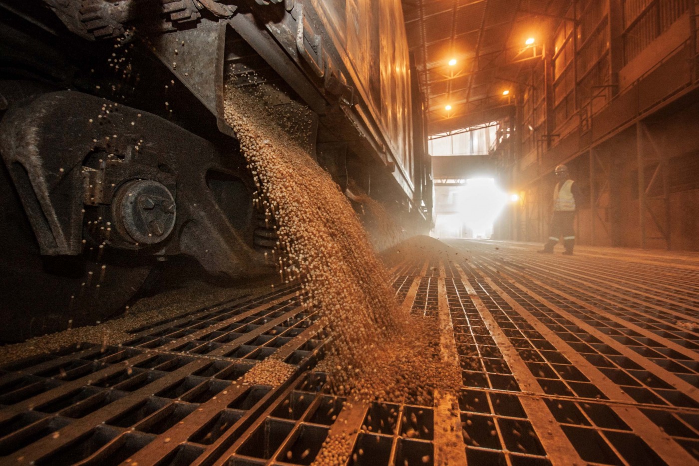 Agro brasileiro tem exportações de US$ 11,3 bilhões em julho